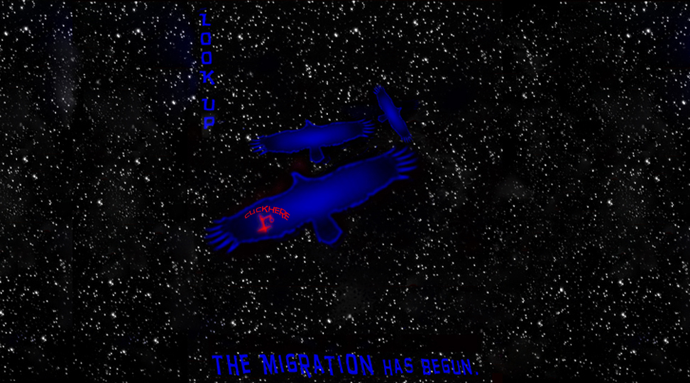 giant blue neon birds